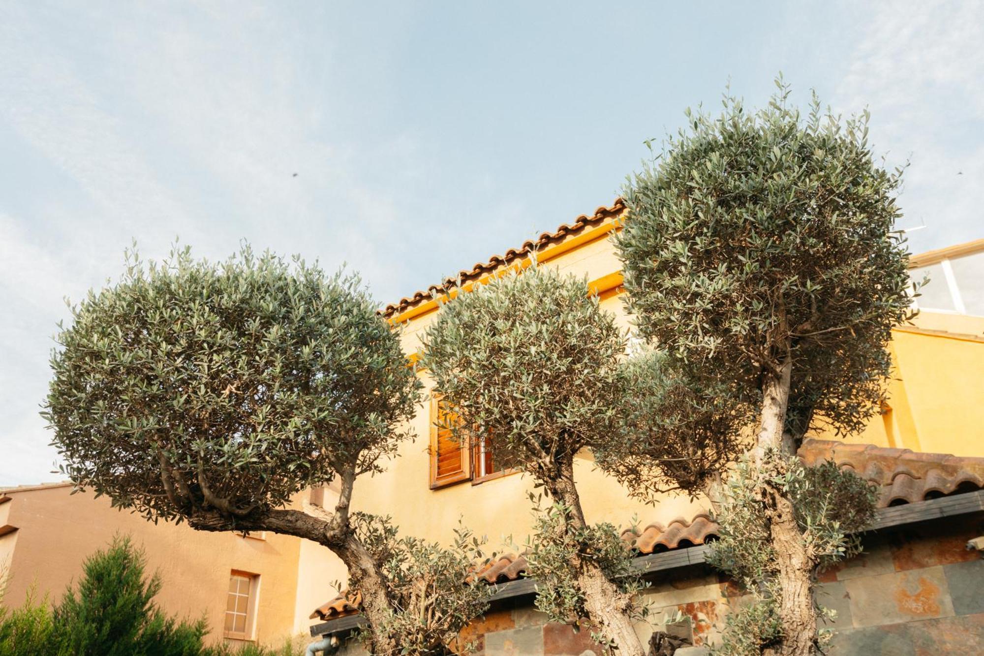 Chalet, Villa Rodeada De Naturaleza Piscina A Doce Klm De Valencia Y 7 Del Aeropuerto Ngoại thất bức ảnh
