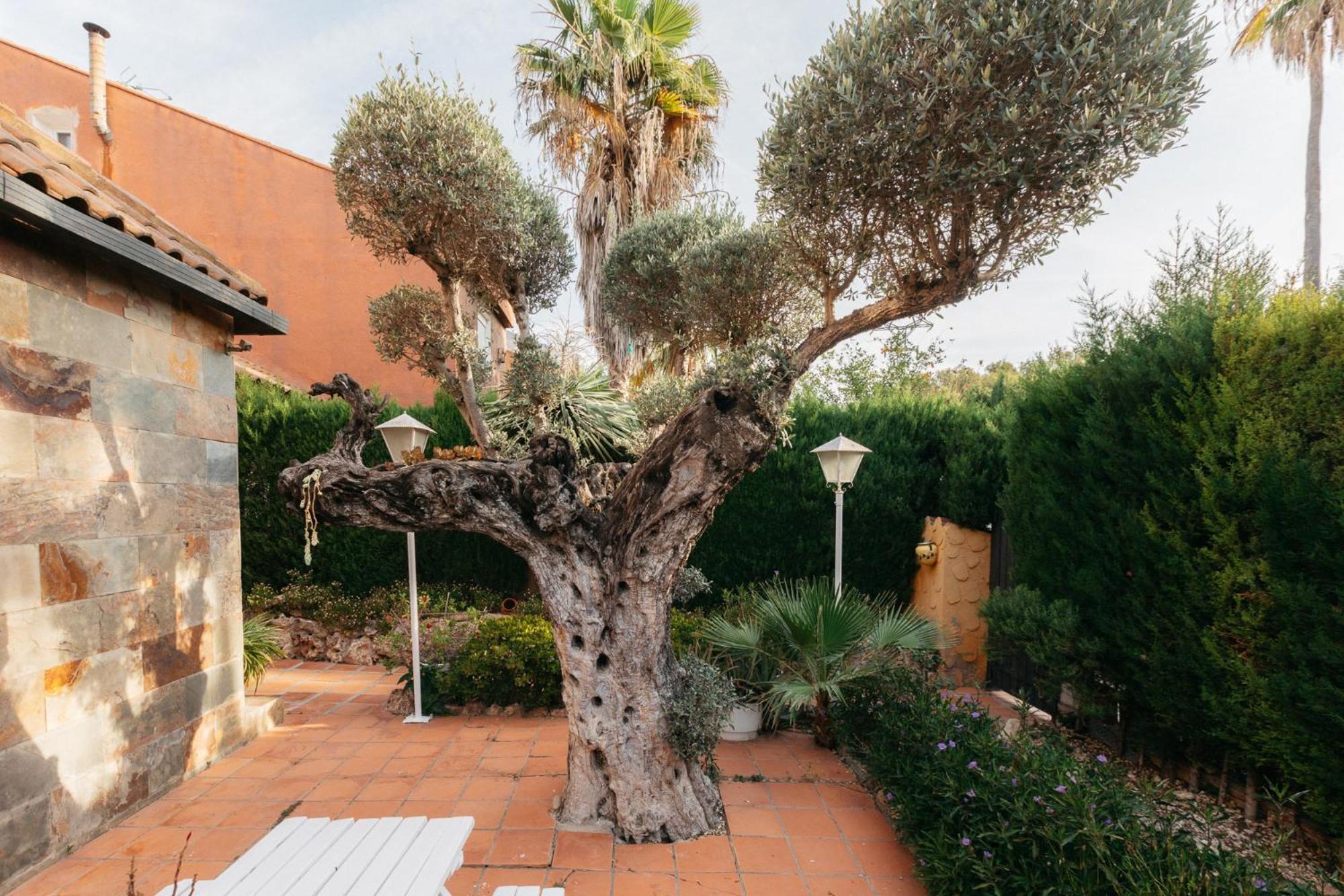 Chalet, Villa Rodeada De Naturaleza Piscina A Doce Klm De Valencia Y 7 Del Aeropuerto Ngoại thất bức ảnh
